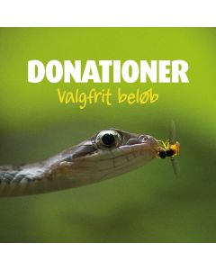 VALGFRI DONATION